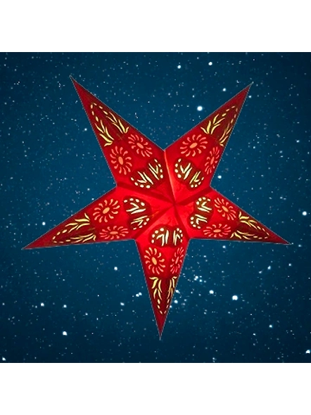 Christmas Star Golden Daisy - Red
(Gold Foiled) 2023-R