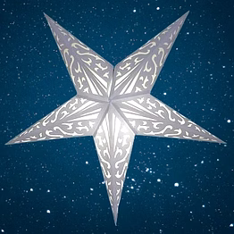 christmas star white with tissue 2005/t