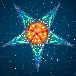 christmas star dolphin 246
