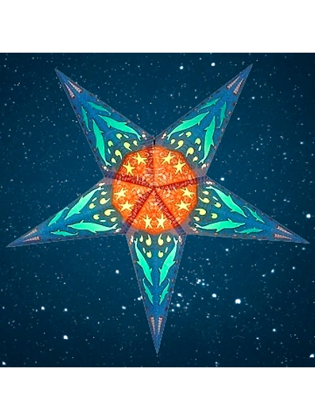 Christmas Star Dolphin 246-EL1050214