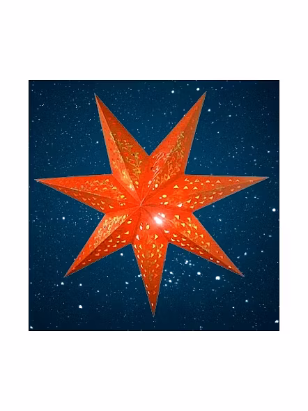 Christmas Star Arabian G30-R-EL1050218
