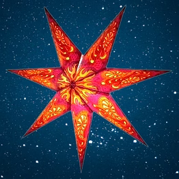 christmas star fuchsia fantasy2020-pl
