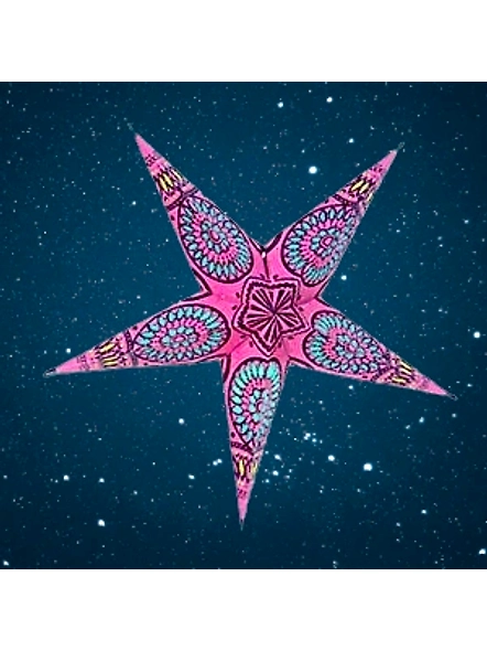 Christmas Star Magenta with Window 205 M-EL1050226
