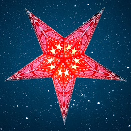 christmas star magenta butterfly 219 m