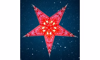 Christmas Star Magenta Butterfly 219 M