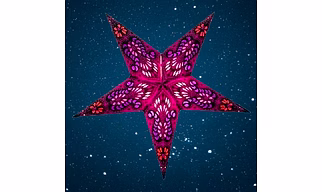 Christmas Star Purple Peacock236-R