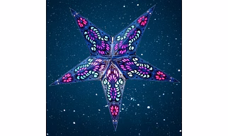 Christmas Star Blue Peacock236-B