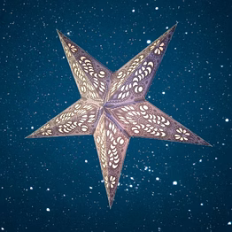 christmas star purple on white peacock 236 wp