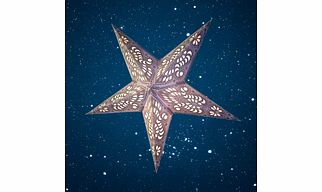 Christmas Star Purple on White Peacock 236 WP