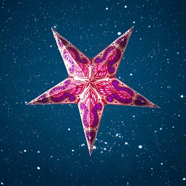 christmas star purple on white peacock small 260 wp