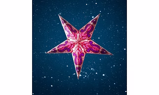 Christmas Star Purple on White Peacock Small 260 WP