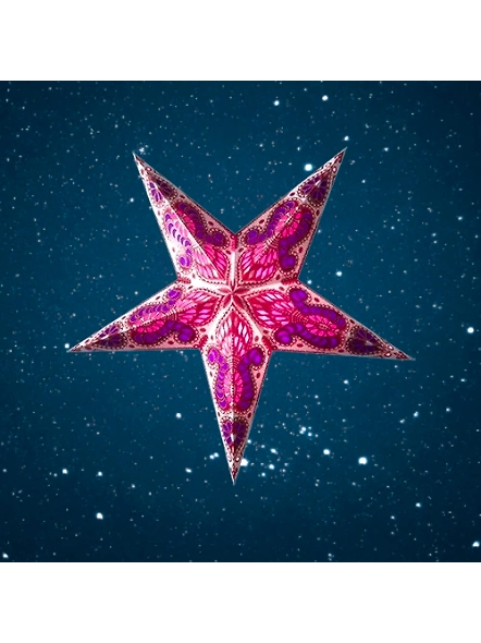 Christmas Star Purple on White Peacock Small 260 WP-EL1050236
