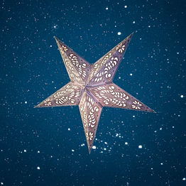christmas star grey peacock small 260 wp
