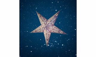 Christmas Star Grey Peacock Small 260 WP