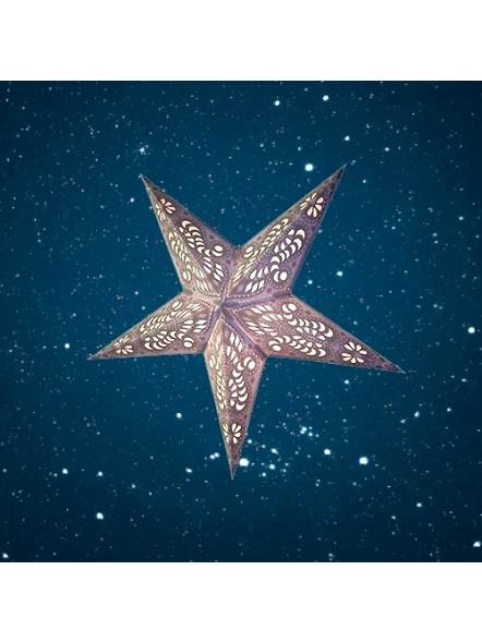 Christmas Star Grey Peacock Small 260 WP-EL1050237