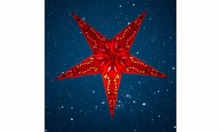 Christmas Star Red Peacock Small 260 R