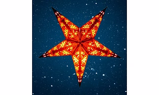 Christmas Star Black Magic 287