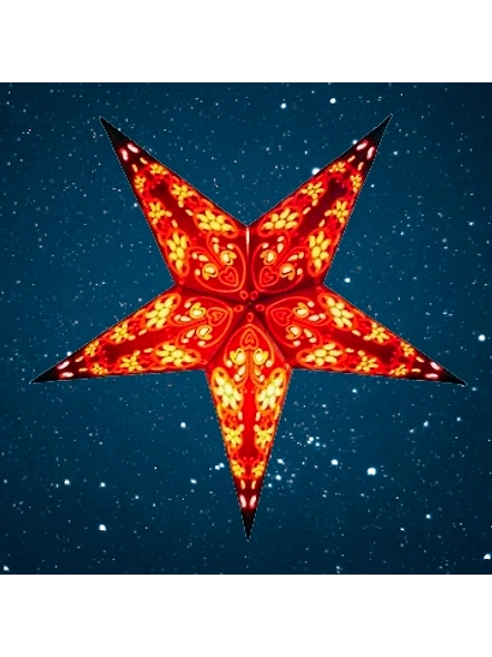 Christmas Star Black Magic 287-EL1050242