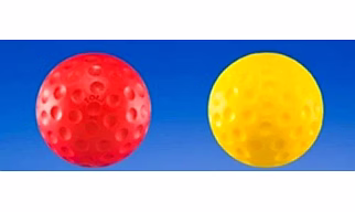 Practice Cricket Ball