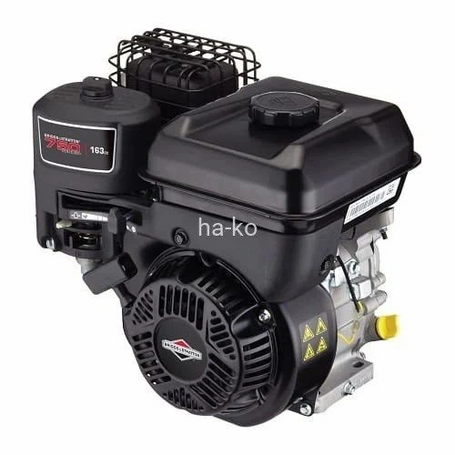 Briggs And Stratton Series 750 163 Cc Petrol Engine-1111