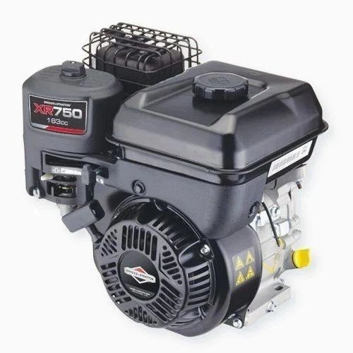 Briggs And Stratton Series 750 163 Cc Petrol Engine-1