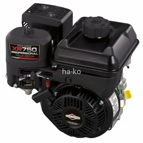 Briggs And Stratton Series 750 163 Cc Petrol Engine-2