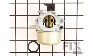 CARBURETOR 496649