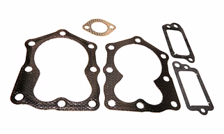 GASKET SET VALVE 498528
