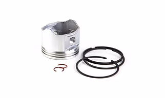 PISTON ASSLY 0.20 498586