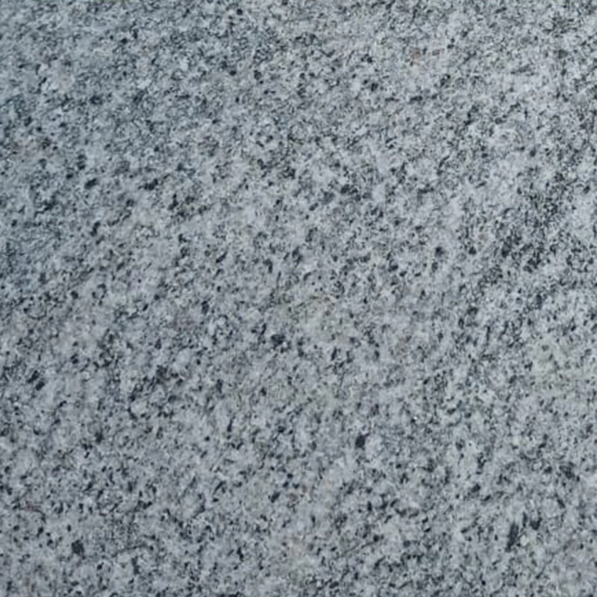 Narlai Grey Granite-NGG_1