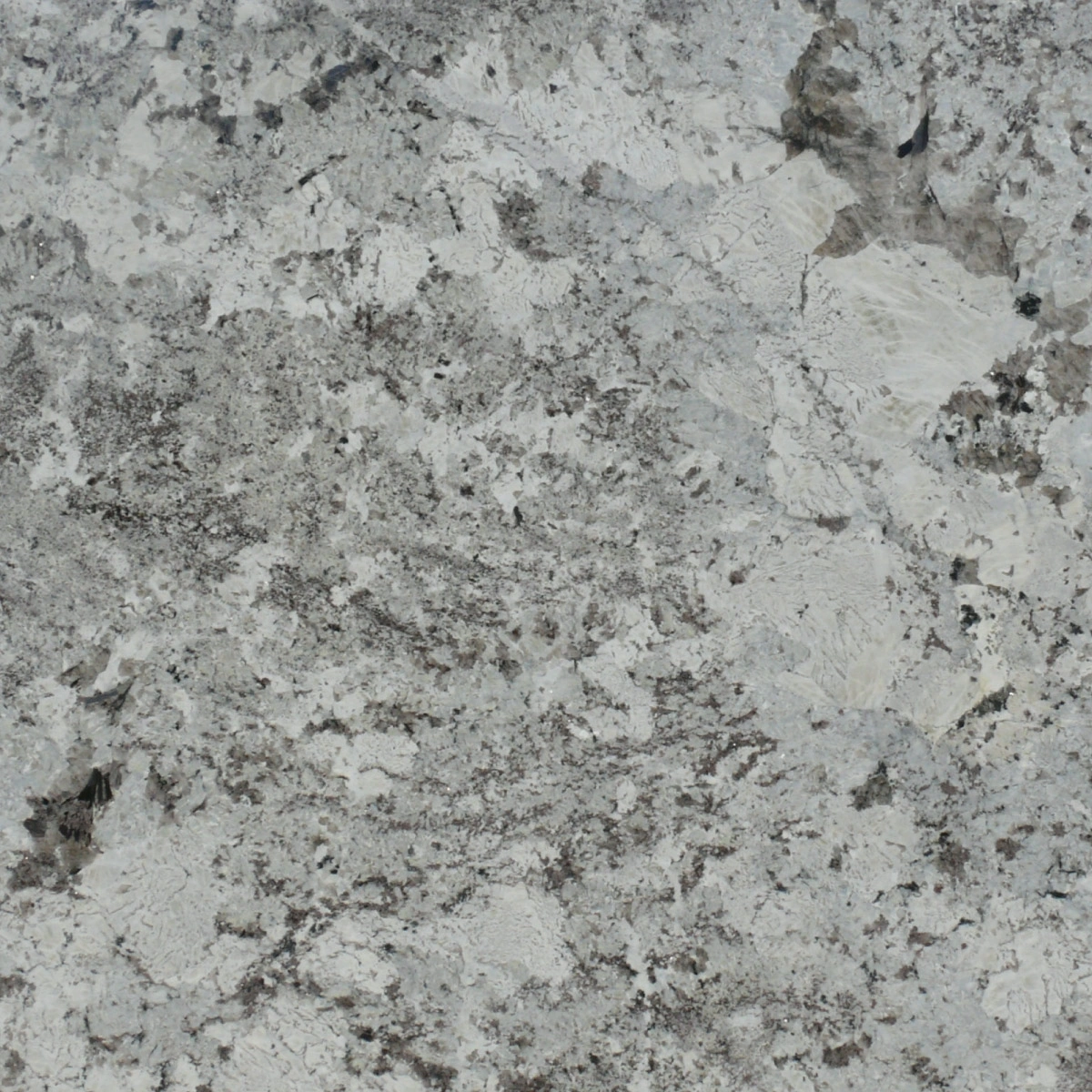 Alaska White Granite-AWG_1