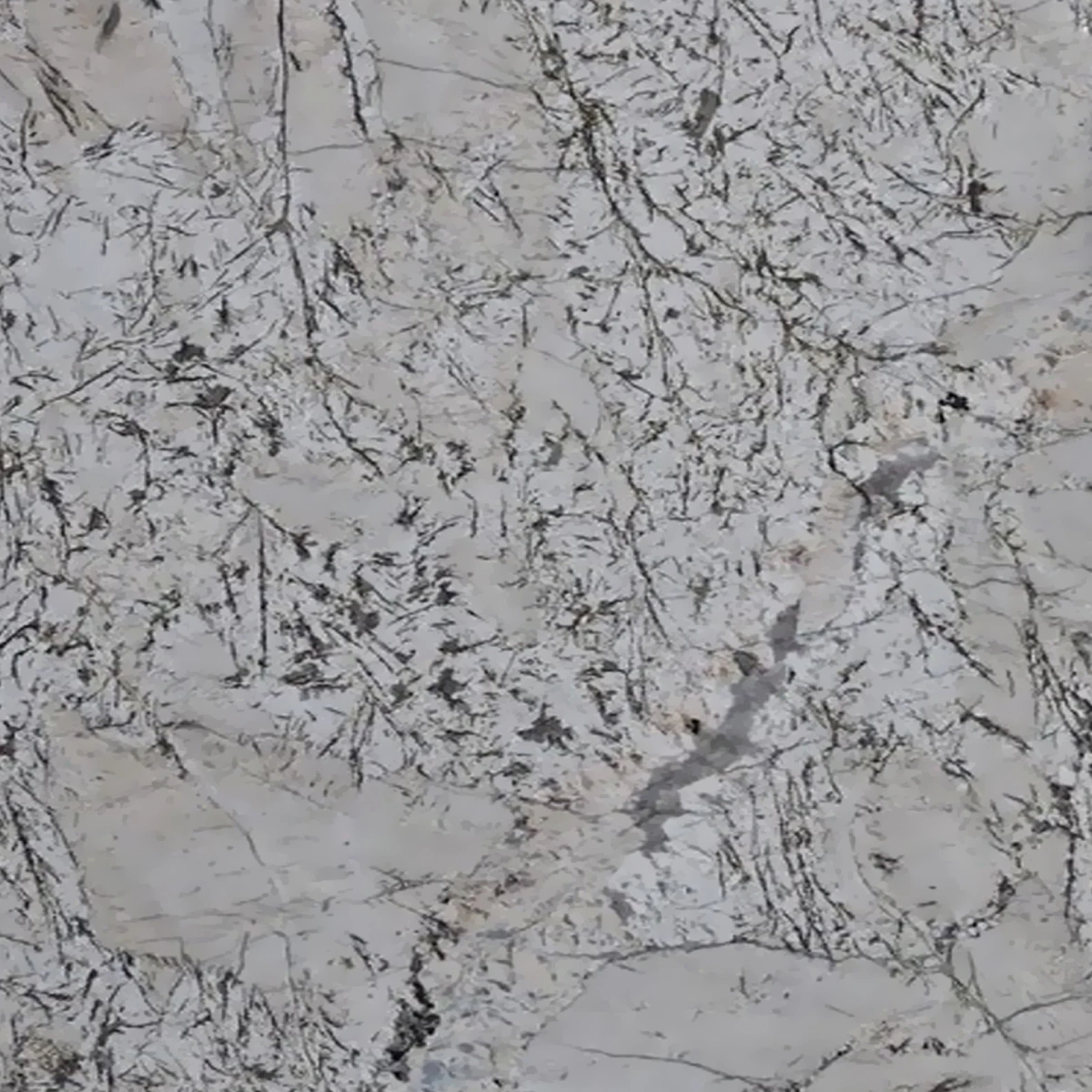 Bianco White Granite-BWG_1