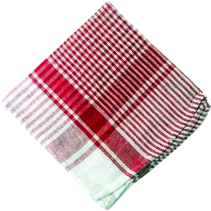 CHAR SITARA DUSTER 18X18-2