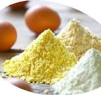 Egg Powders-12483654