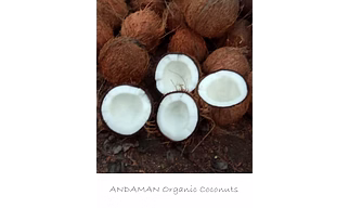 Organic Coconuts