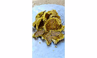 SHIVGANGA COTTON SEED CAKE