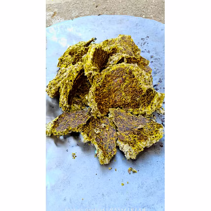 SHIVGANGA COTTON SEED CAKE-12482255