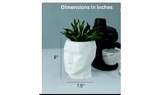 PLASTIC FACE POT 8 INCH