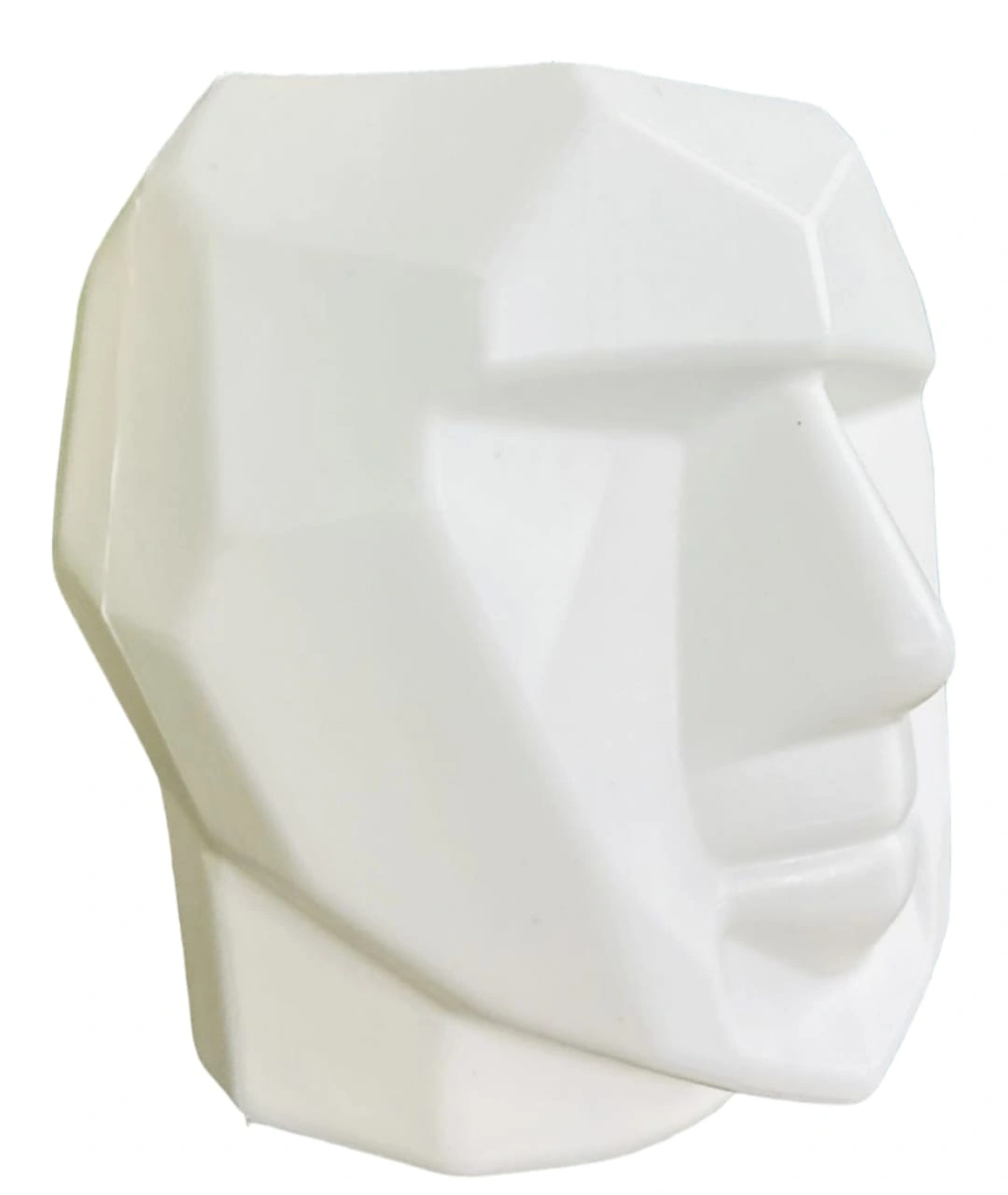 PLASTIC FACE POT 8 INCH-1