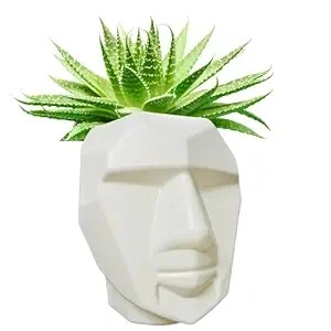 PLASTIC FACE POT 8 INCH-2