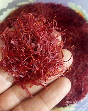 Kashmiri pure saffron-1