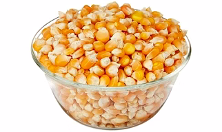 Maize