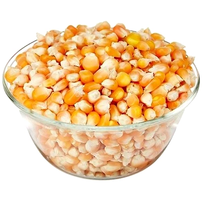 Maize