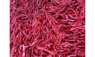 TEJA CHILLIES (S17)