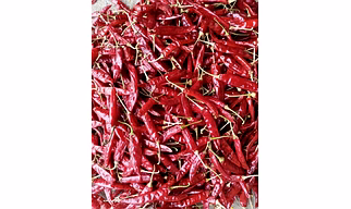 SANAM S4 CHILLIES 334