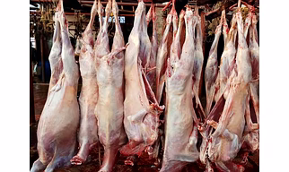 MUTTON