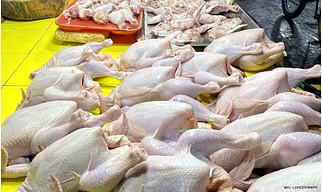 CHICKEN