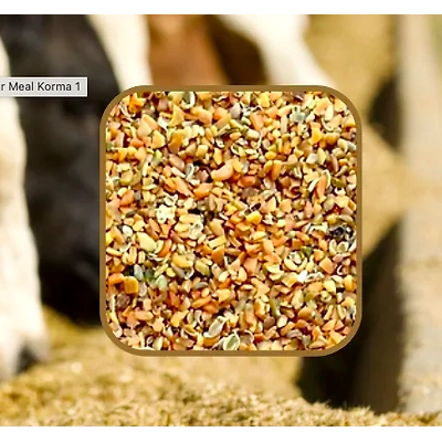 HOC Soya Meal (Animal Feed/Poultry)