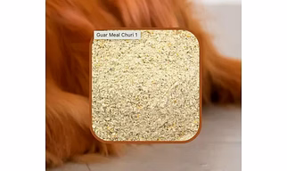Guar Meal - Churi (Animal Feed/Poultry)