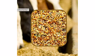 Guar Meal - Korma (Animal Feed/Poultry)